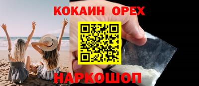 сатива Гай