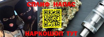 сатива Гай