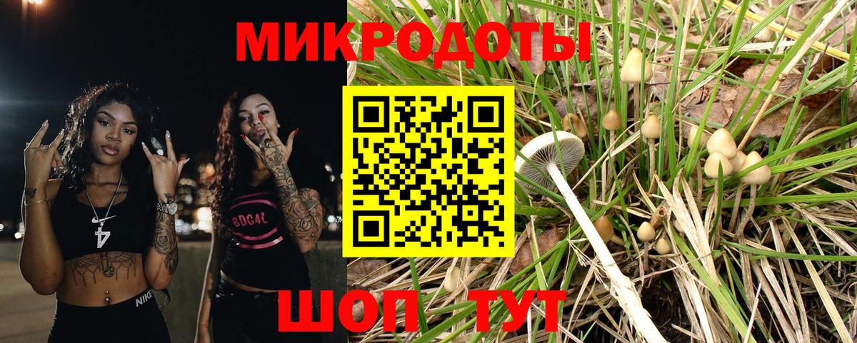 Галлюциногенные грибы MAGIC MUSHROOMS Октябрьский
